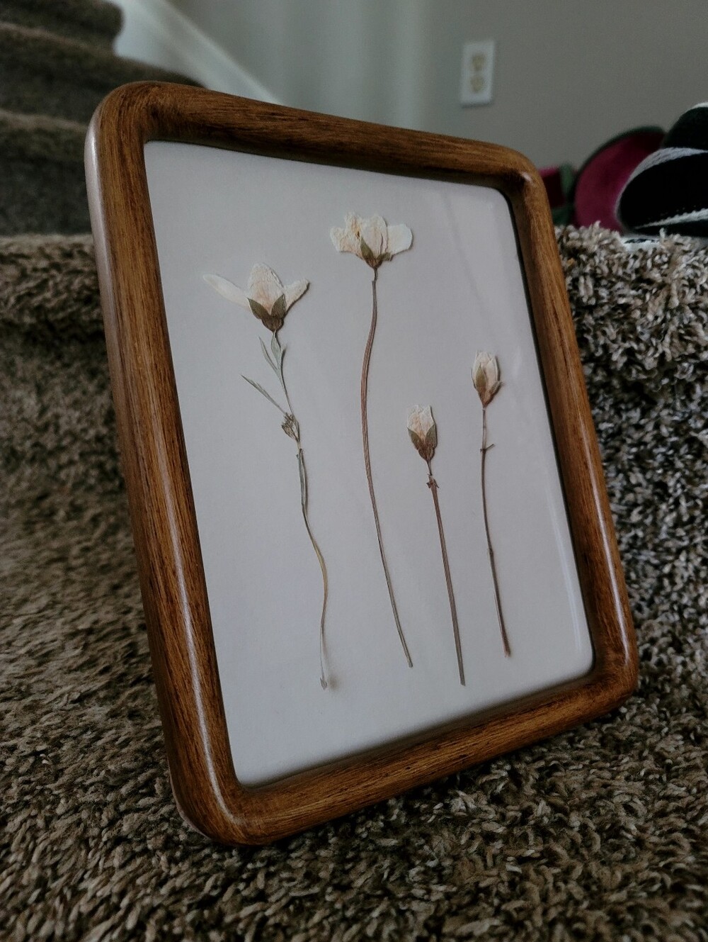 Target Brown Hearth & Hand Picture Frame Backing (Permanent/Unremovable)